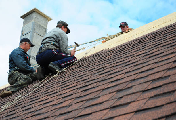 Trusted Oak Park, MI Roofing Contractor Experts